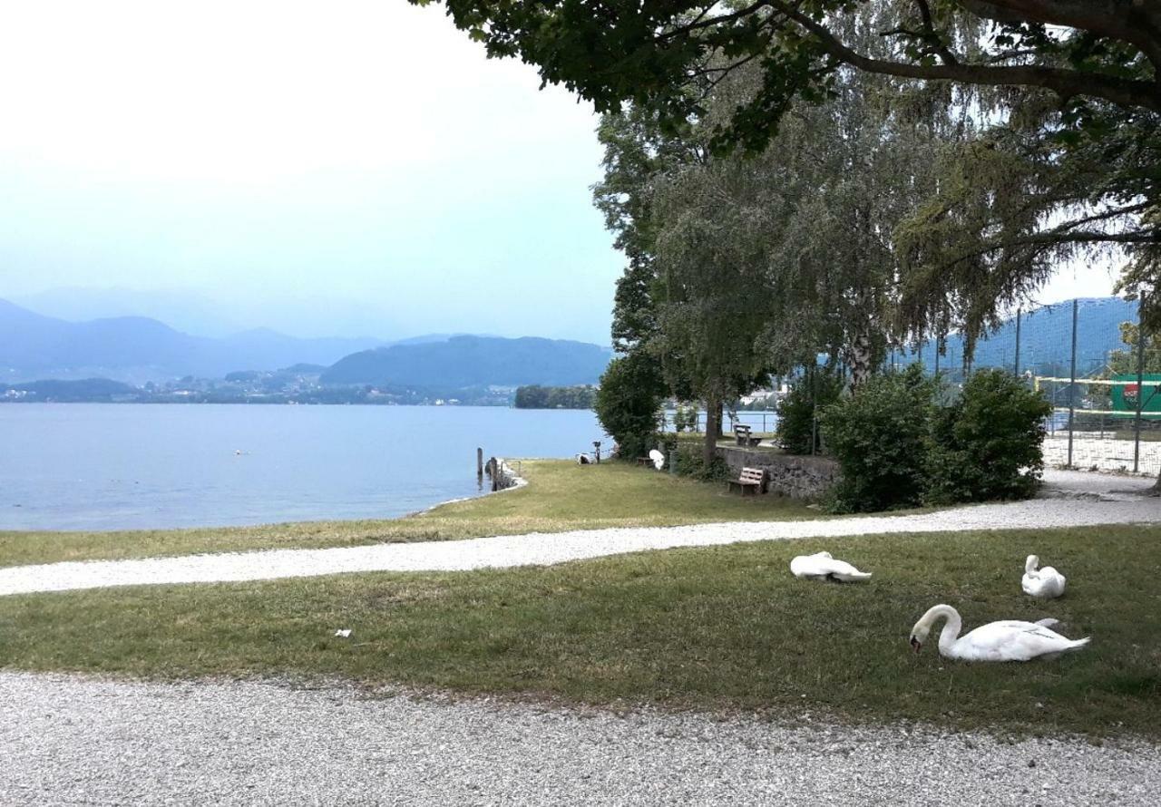 Seeblick Apartment/Zimmer Gmunden Eksteriør billede